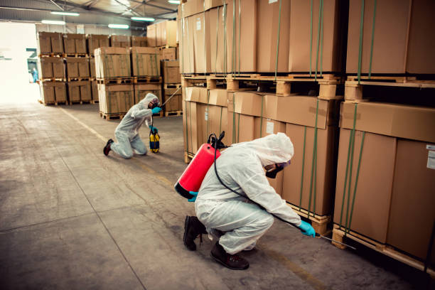 Best Affordable Pest Control Services  in Creswell, OR