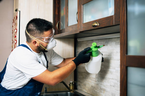 Best Affordable Pest Control Services  in Creswell, OR