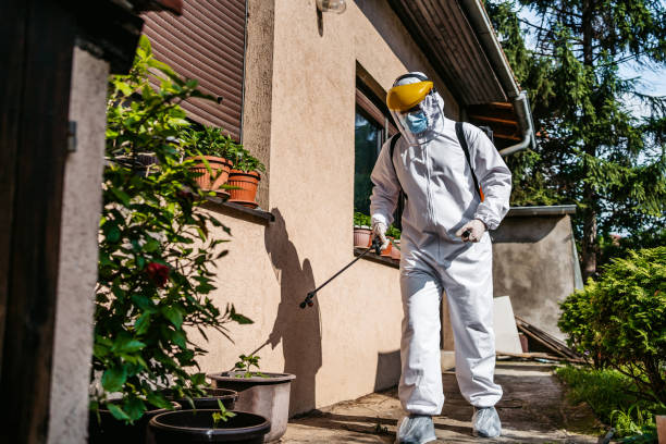 Best Best Pest Control Companies  in Creswell, OR