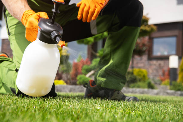 Best Rodent Control Near Me  in Creswell, OR