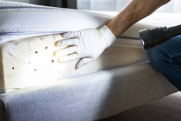 Best Mosquito Control Services  in Creswell, OR