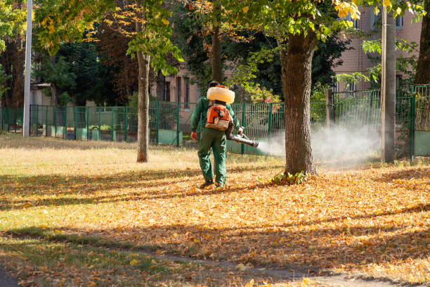 Best Flea Control Services  in Creswell, OR