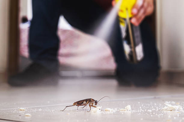 Best Best Pest Control Companies  in Creswell, OR