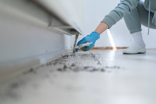 Best Pest Removal Services  in Creswell, OR